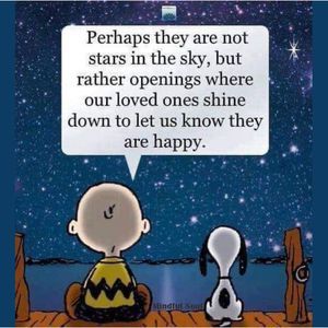 Meet your Posher, Judi